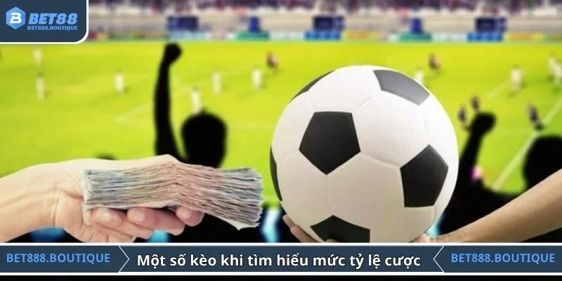 Một số kèo phổ biến khi tìm hiểu mức tỷ lệ cược 